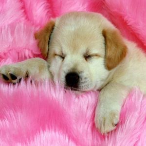 Meet your Posher, Christne